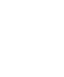 Bridge St Logo