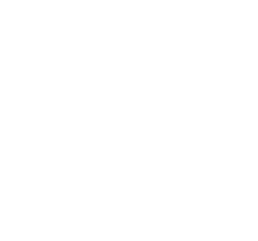 Logo V Orange