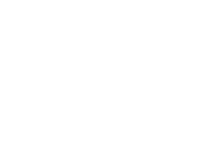 Logo v(Green)